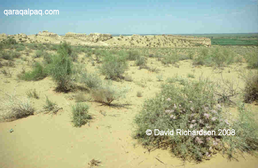 South and western flanks of Janbas Qala