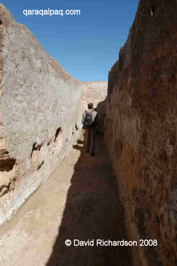 Corridor with female portraits