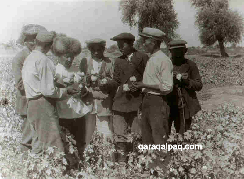 Inspecting the Qaraqalpaq cotton crop