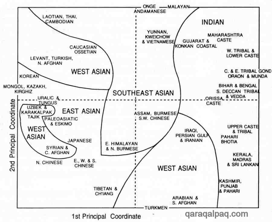 Physical Anthropology of Asia