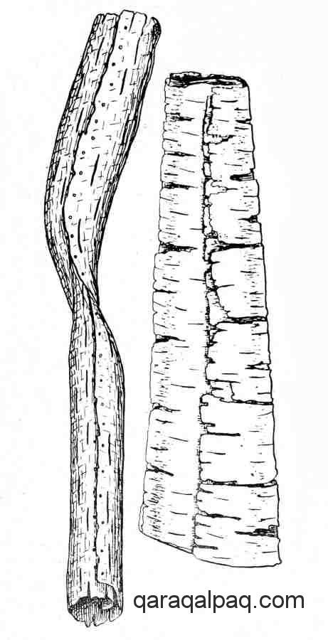 Drawings of Qipchaq birch bark tubes