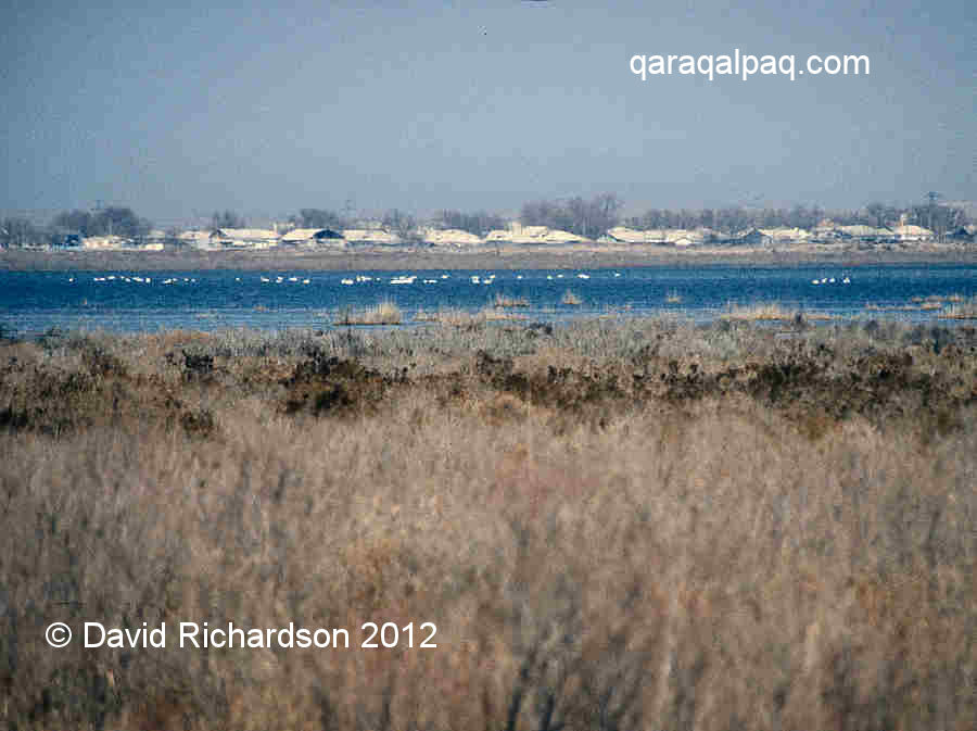 Moynaq-on-Sea